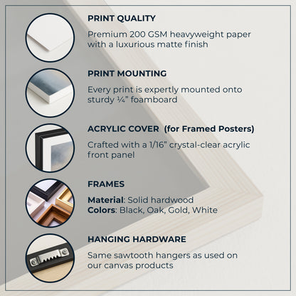 Product feature card detailing print quality, mounting, acrylic cover, frames, and hanging hardware.
